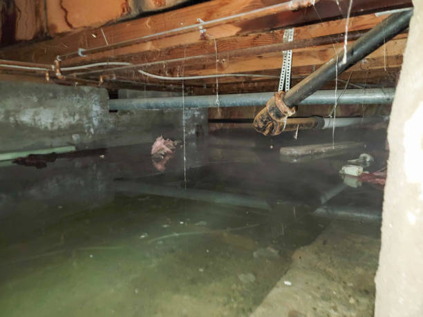 Best Emergency water damage restoration  in Cherryland, CA