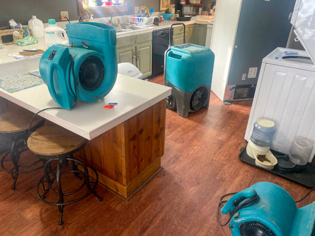 Best Flood damage cleanup  in Cherryland, CA