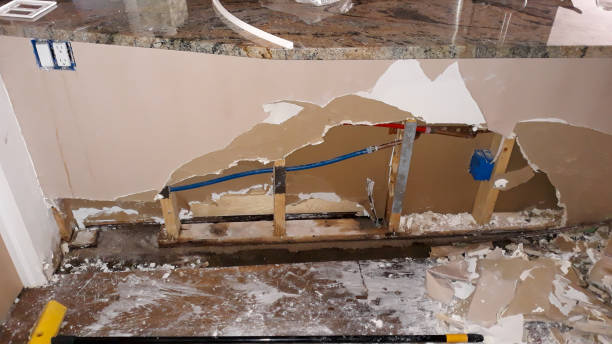 Best Water damage restoration near me  in Cherryland, CA