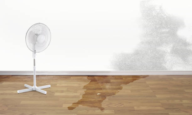 Best Commercial water damage restoration  in Cherryland, CA