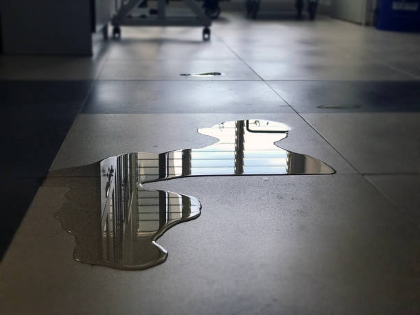 Best Local water damage restoration  in Cherryland, CA