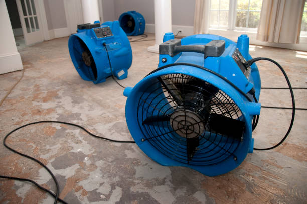 Best Ceiling water damage repair  in Cherryland, CA